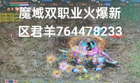 魔域私服发布网：安全状况与选择方法大揭秘