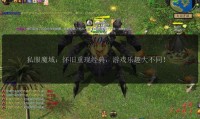 魔域sf外挂危害大，如何检测外挂你知道吗？
