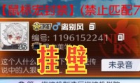 魔域私服外挂危害大，破坏公平性还存法律风险？如何识别？